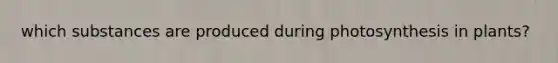 which substances are produced during photosynthesis in plants?