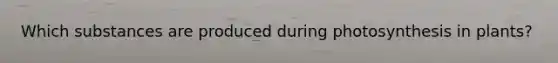 Which substances are produced during photosynthesis in plants?