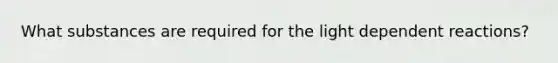 What substances are required for the light dependent reactions?