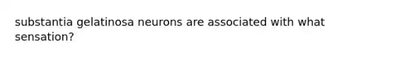 substantia gelatinosa neurons are associated with what sensation?