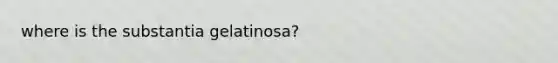 where is the substantia gelatinosa?