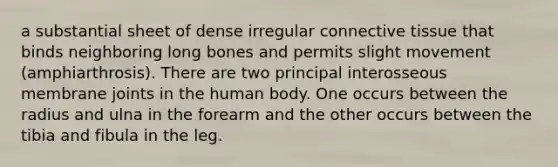 a substantial sheet of dense irregular connective tissue that binds neighboring long bones and permits slight movement (amphiarthrosis). There are two principal interosseous membrane joints in the human body. One occurs between the radius and ulna in the forearm and the other occurs between the tibia and fibula in the leg.