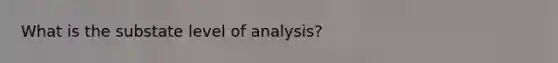 What is the substate level of analysis?