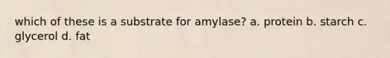 which of these is a substrate for amylase? a. protein b. starch c. glycerol d. fat