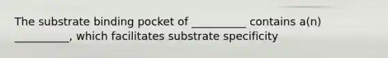 The substrate binding pocket of __________ contains a(n) __________, which facilitates substrate specificity