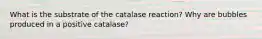 What is the substrate of the catalase reaction? Why are bubbles produced in a positive catalase?