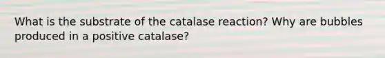 What is the substrate of the catalase reaction? Why are bubbles produced in a positive catalase?