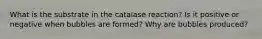 What is the substrate in the catalase reaction? Is it positive or negative when bubbles are formed? Why are bubbles produced?