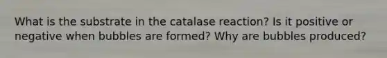 What is the substrate in the catalase reaction? Is it positive or negative when bubbles are formed? Why are bubbles produced?