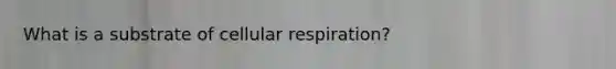 What is a substrate of cellular respiration?