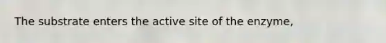 The substrate enters the active site of the enzyme,