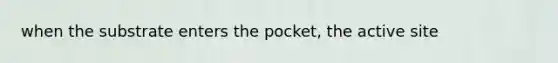 when the substrate enters the pocket, the active site