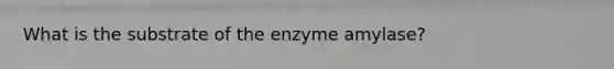 What is the substrate of the enzyme amylase?