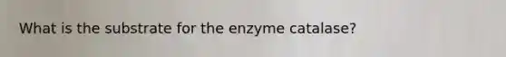 What is the substrate for the enzyme catalase?