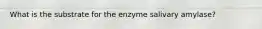 What is the substrate for the enzyme salivary amylase?