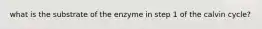 what is the substrate of the enzyme in step 1 of the calvin cycle?