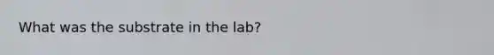 What was the substrate in the lab?