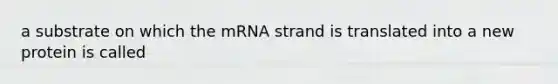 a substrate on which the mRNA strand is translated into a new protein is called