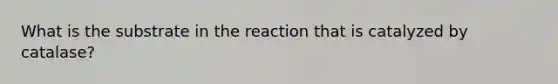 What is the substrate in the reaction that is catalyzed by catalase?