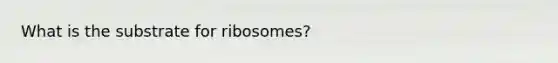 What is the substrate for ribosomes?