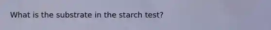 What is the substrate in the starch test?