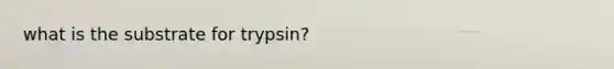 what is the substrate for trypsin?