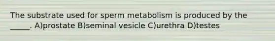 The substrate used for sperm metabolism is produced by the _____. A)prostate B)seminal vesicle C)urethra D)testes