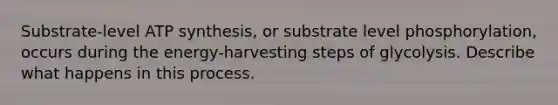 Substrate-level ATP synthesis, or substrate level phosphorylation, occurs during the energy-harvesting steps of glycolysis. Describe what happens in this process.