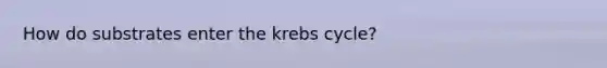 How do substrates enter the krebs cycle?