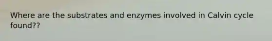 Where are the substrates and enzymes involved in Calvin cycle found??