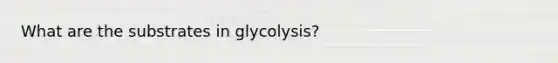 What are the substrates in glycolysis?