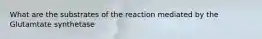 What are the substrates of the reaction mediated by the Glutamtate synthetase