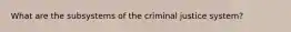 What are the subsystems of the criminal justice system?