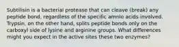 Subtilisin is a bacterial protease that can cleave (break) any peptide bond, regardless of the specific amnio acids involved. Trypsin, on the other hand, splits peptide bonds only on the carboxyl side of lysine and arginine groups. What differences might you expect in the active sites these two enzymes?