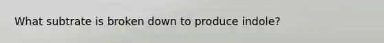 What subtrate is broken down to produce indole?