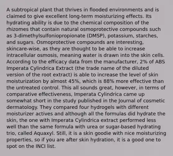 A subtropical plant that thrives in flooded environments and is claimed to give excellent long-term moisturizing effects. Its hydrating ability is due to the chemical composition of the rhizomes that contain natural osmoprotective compounds such as 3-dimethylsulfoniopropionate (DMSP), potassium, starches, and sugars. Osmoprotective compounds are interesting, skincare-wise, as they are thought to be able to increase intracellular osmosis, meaning water is drawn into the skin cells. According to the efficacy data from the manufacturer, 2% of ABS Imperata Cylindrica Extract (the trade name of the diluted version of the root extract) is able to increase the level of skin moisturization by almost 45%, which is 88% more effective than the untreated control. This all sounds great, however, in terms of comparative effectiveness, Imperata Cylindrica came up somewhat short in the study published in the Journal of cosmetic dermatology. They compared four hydrogels with different moisturizer actives and although all the formulas did hydrate the skin, the one with Imperata Cylindrica extract performed less well than the same formula with urea or sugar-based hydrating trio, called Aquaxyl. Still, it is a skin goodie with nice moisturizing properties, so if you are after skin hydration, it is a good one to spot on the INCI list.