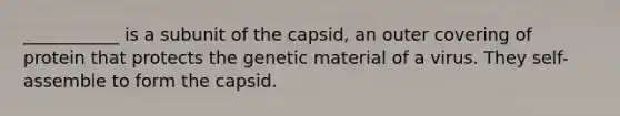 ___________ is a subunit of the capsid, an outer covering of protein that protects the genetic material of a virus. They self-assemble to form the capsid.