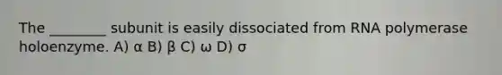 The ________ subunit is easily dissociated from RNA polymerase holoenzyme. A) α B) β C) ω D) σ