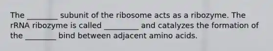 The ________ subunit of the ribosome acts as a ribozyme. The rRNA ribozyme is called _________ and catalyzes the formation of the ________ bind between adjacent <a href='https://www.questionai.com/knowledge/k9gb720LCl-amino-acids' class='anchor-knowledge'>amino acids</a>.