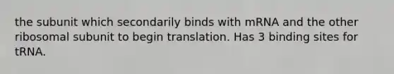 the subunit which secondarily binds with mRNA and the other ribosomal subunit to begin translation. Has 3 binding sites for tRNA.