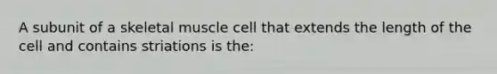 A subunit of a skeletal muscle cell that extends the length of the cell and contains striations is the: