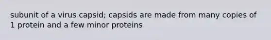 subunit of a virus capsid; capsids are made from many copies of 1 protein and a few minor proteins