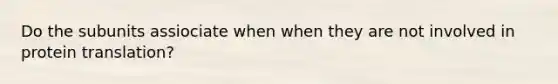 Do the subunits assiociate when when they are not involved in protein translation?