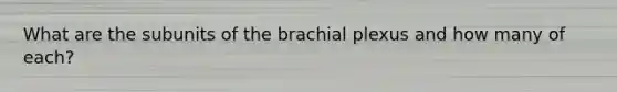 What are the subunits of the brachial plexus and how many of each?