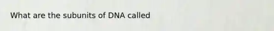 What are the subunits of DNA called