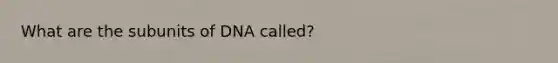 What are the subunits of DNA called?