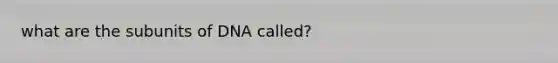 what are the subunits of DNA called?