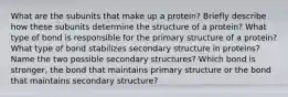 What are the subunits that make up a protein? Briefly describe how these subunits determine the structure of a protein? What type of bond is responsible for the primary structure of a protein? What type of bond stabilizes secondary structure in proteins? Name the two possible secondary structures? Which bond is stronger, the bond that maintains primary structure or the bond that maintains secondary structure?