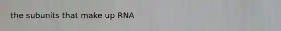 the subunits that make up RNA