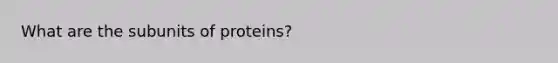 What are the subunits of proteins?